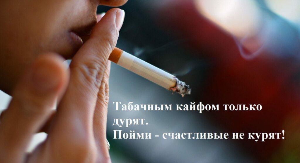 поправки в табачный закон